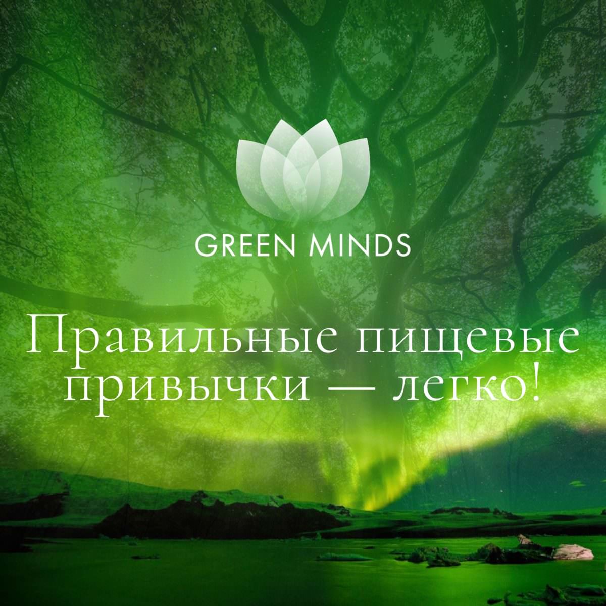 Нейромедитация GREEN MINDS «Правильные пищевые привычки — легко!» по цене  460 руб. - купить в Донецке ☛ Доставка ☆ Интернет-магазин «EcoGreenDom»